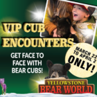 VIP Cub Encounter