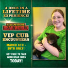 VIP Cub Encounter